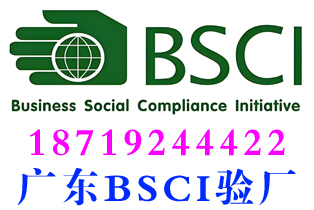 广州白云bsci验厂