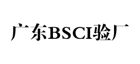 广东bsci验厂网